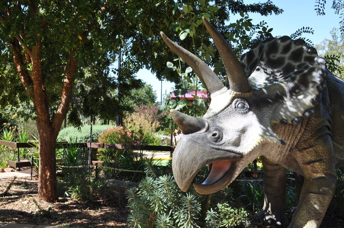 Image of a 'Triceratops' Dinosaur statue with garden in the background.